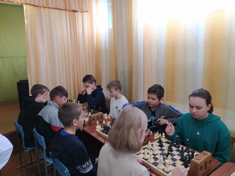 Соревнования по шахматам и шашкам.
